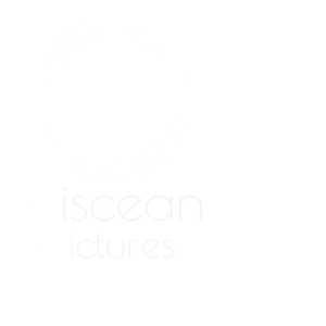 Piscean Pictures